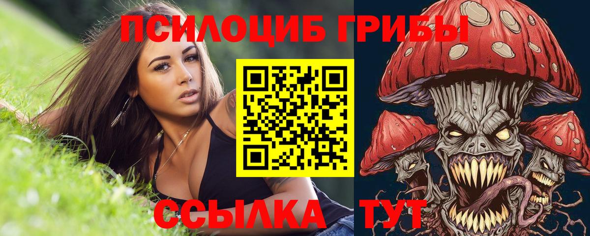 Галлюциногенные грибы прущие грибы Батайск
