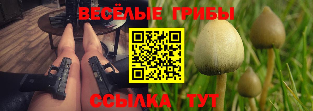 Галлюциногенные грибы MAGIC MUSHROOMS  магазин продажи   Батайск  Вход с VPN 